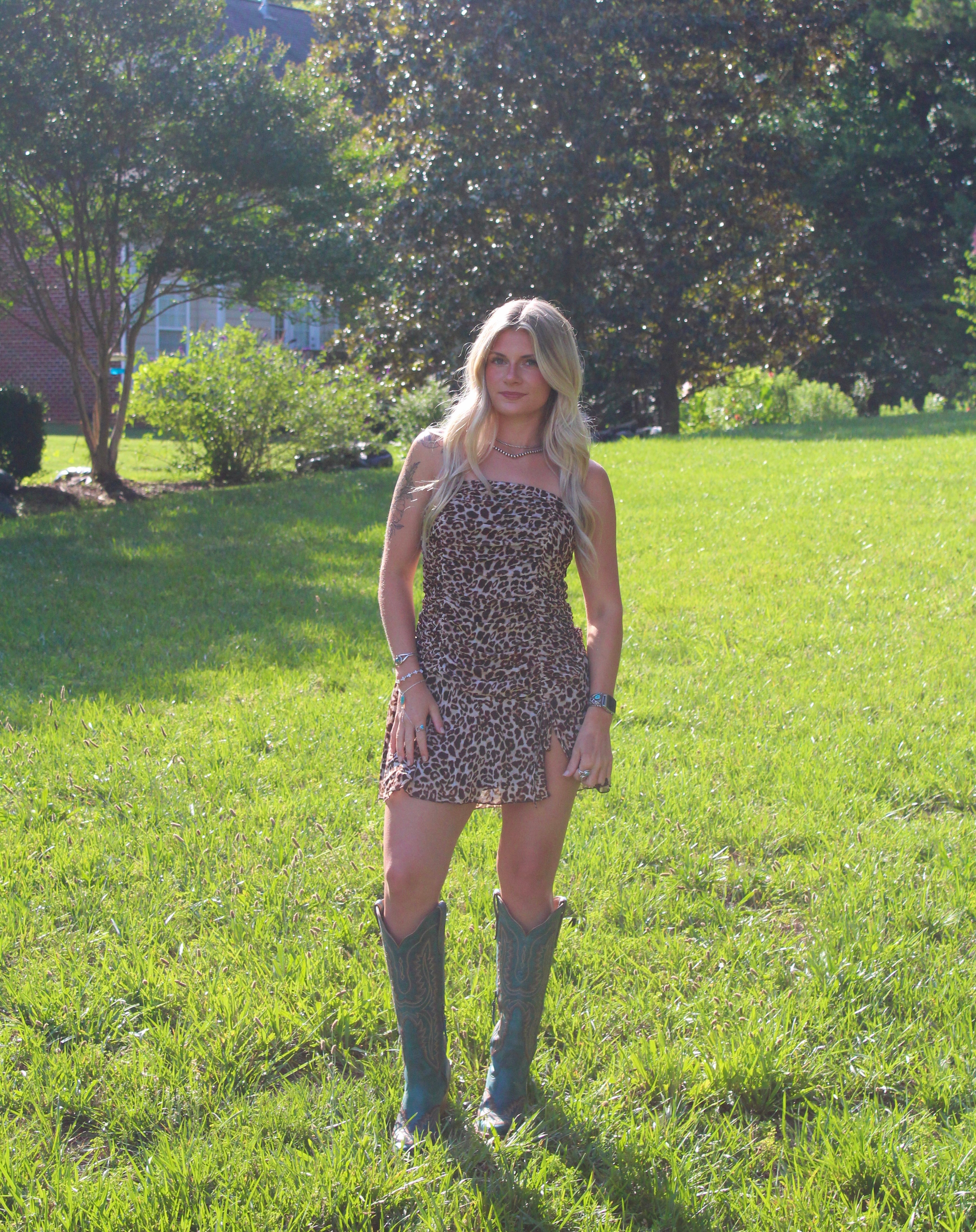 The Ana Leopard Dress