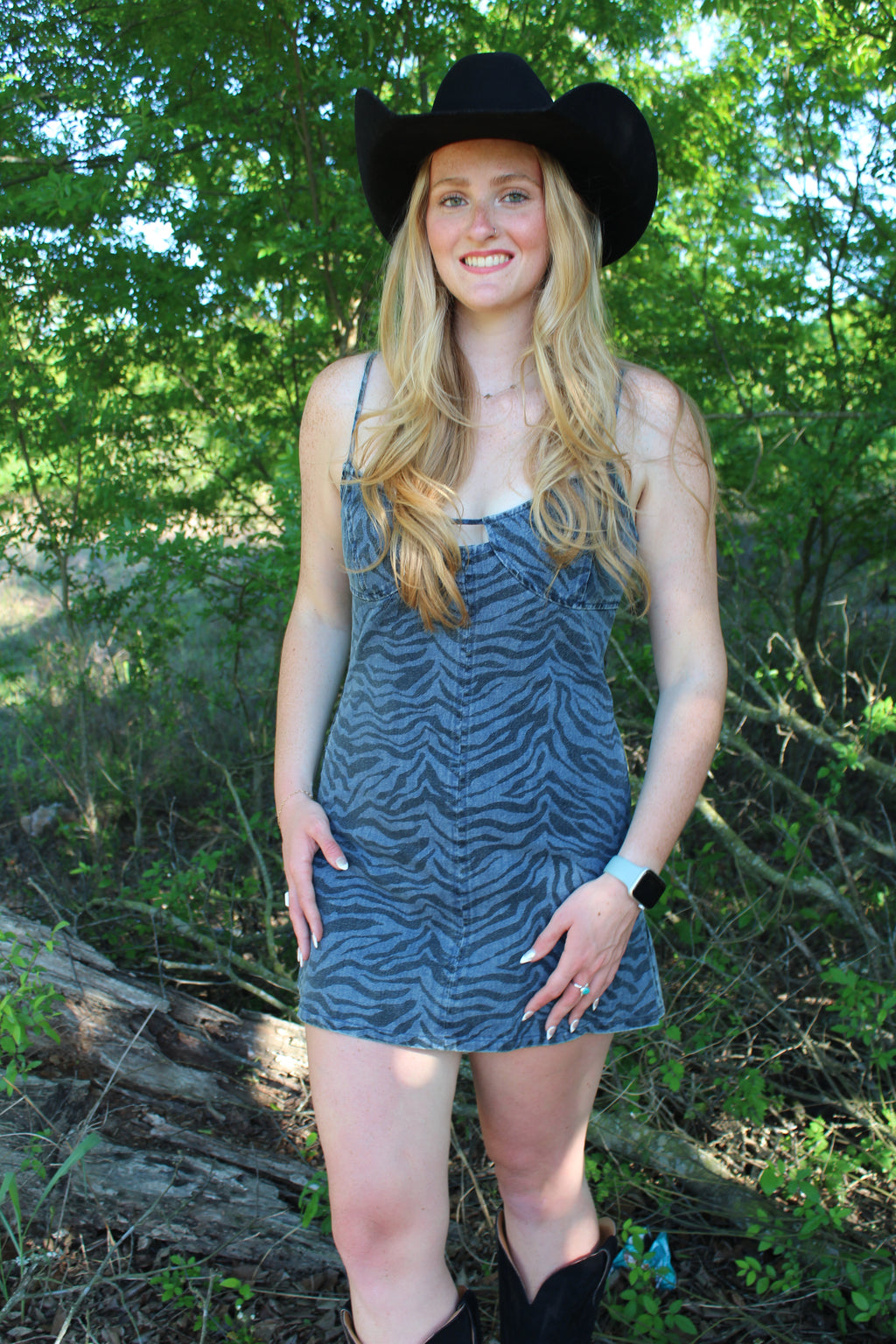 The Taylor Zebra Denim Dress
